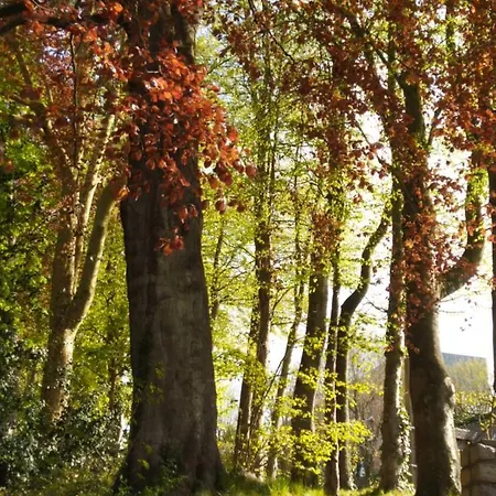 Prázdninový dům Le Domaine Des Roches, Auberge Collective