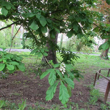 Le Domaine Des Roches, Auberge Collective