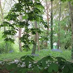 Le Domaine Des Roches, Auberge Collective * Dieppe