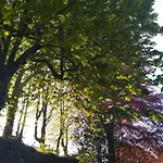 Le Domaine Des Roches, Auberge Collective Dieppe