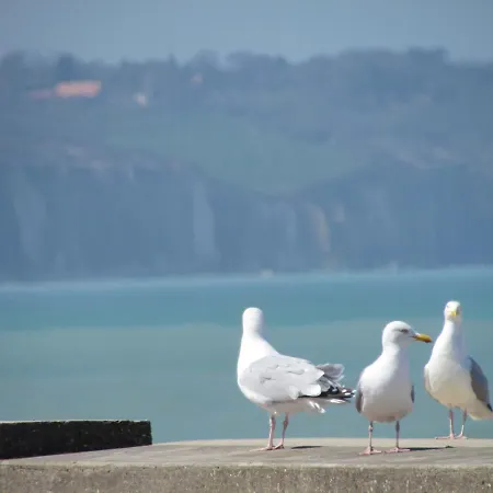 Le Domaine Des Roches, Auberge Collective * Διέππη