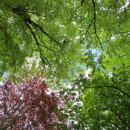 Le Domaine Des Roches, Auberge Collective Feriehus