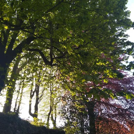 Le Domaine Des Roches, Auberge Collective Dieppe