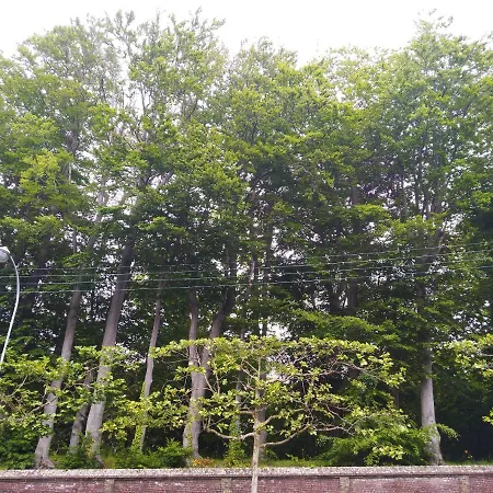 Tatil Evi Le Domaine Des Roches, Auberge Collective Dieppe