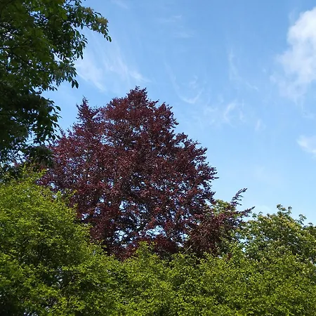 Tatil Evi Le Domaine Des Roches, Auberge Collective Dieppe