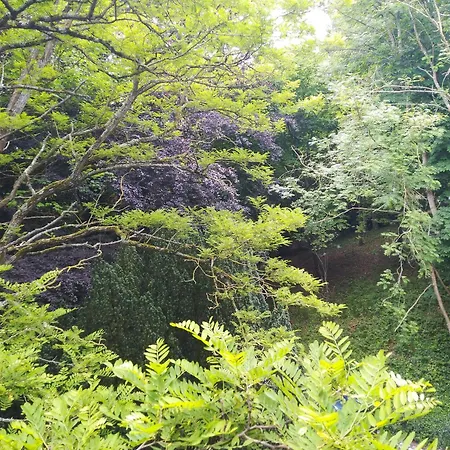 Le Domaine Des Roches, Auberge Collective *