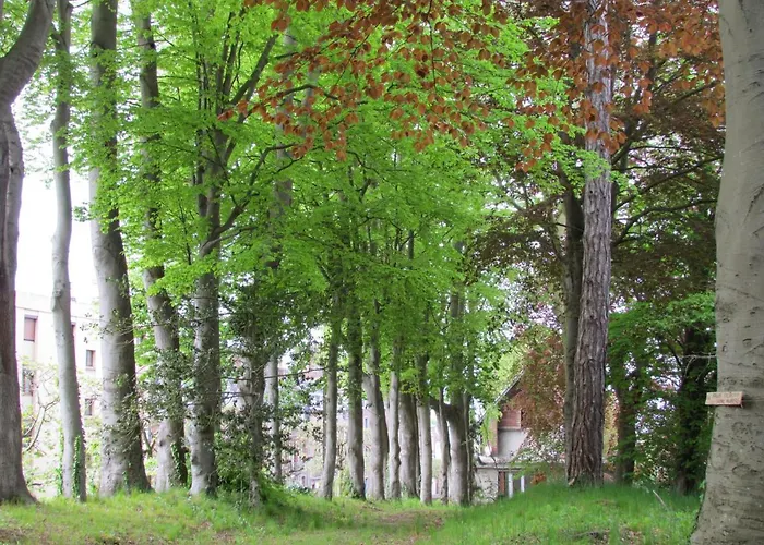 Le Domaine Des Roches, Auberge Collective Hébergement de vacances