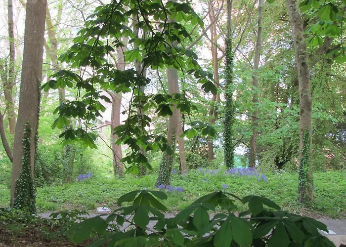 Le Domaine Des Roches, Auberge Collective * Dieppe