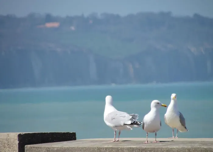 Le Domaine Des Roches, Auberge Collective * Dieppe