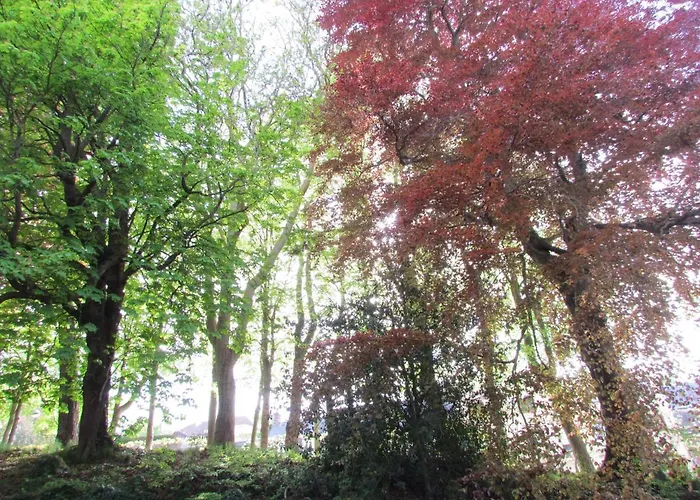 Le Domaine Des Roches, Auberge Collective Dieppe