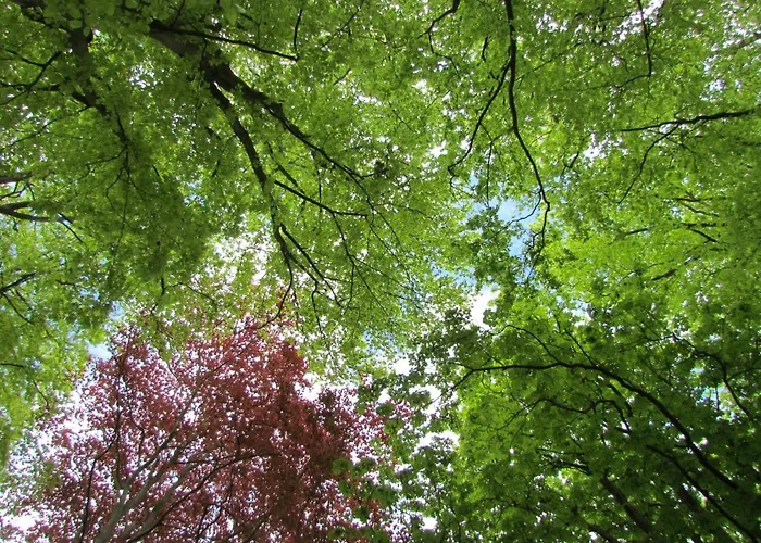 Le Domaine Des Roches, Auberge Collective Hébergement de vacances