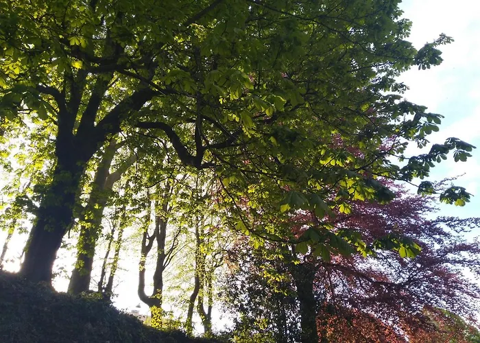 Le Domaine Des Roches, Auberge Collective Dieppe