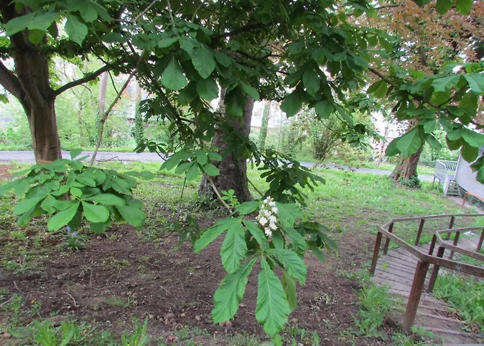 Le Domaine Des Roches, Auberge Collective