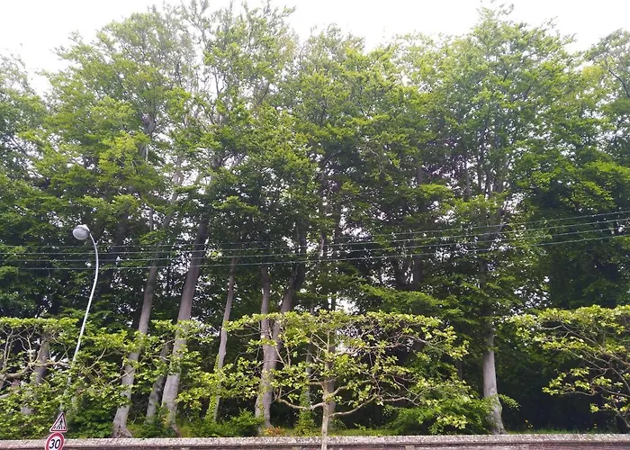 Hébergement de vacances Le Domaine Des Roches, Auberge Collective Dieppe