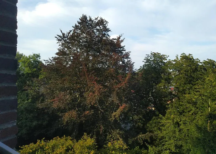 Le Domaine Des Roches, Auberge Collective