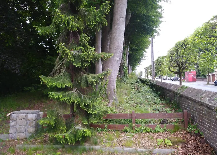 Hébergement de vacances Le Domaine Des Roches, Auberge Collective