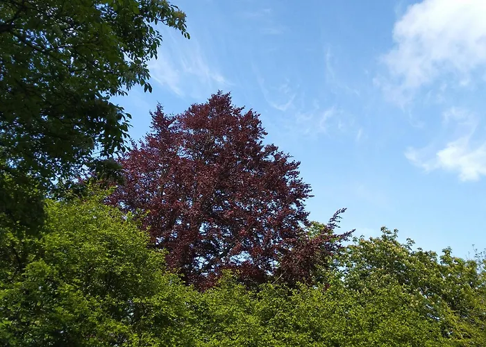 Hébergement de vacances Le Domaine Des Roches, Auberge Collective Dieppe