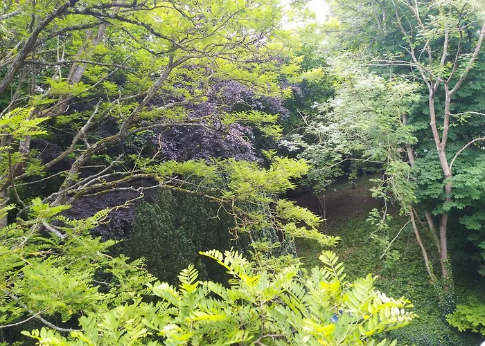 Le Domaine Des Roches, Auberge Collective *